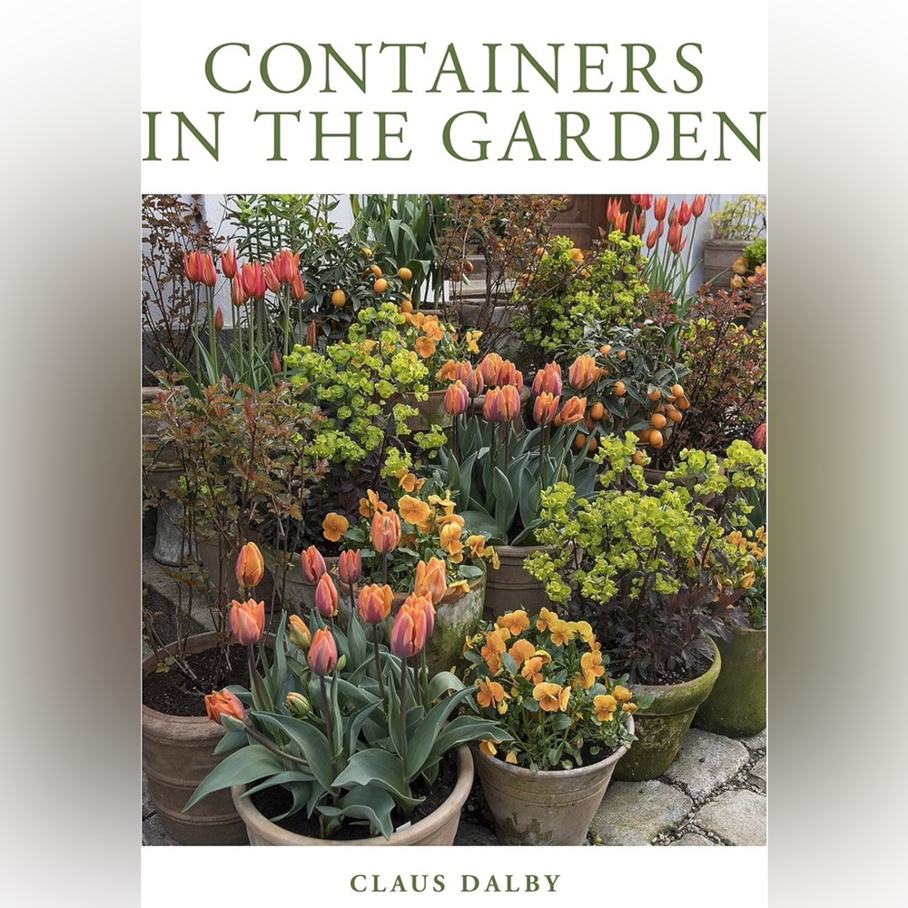 Containers in the Garden
